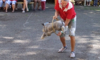 DSCF2318